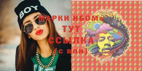 индика Ладушкин