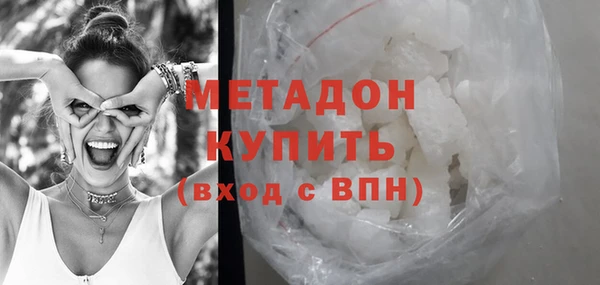индика Ладушкин