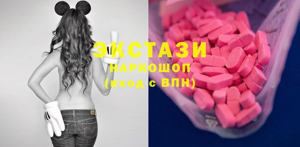 индика Ладушкин