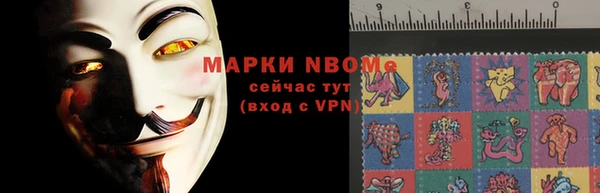 индика Ладушкин