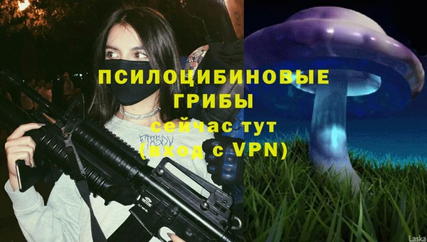 синтетический гашиш Лабытнанги