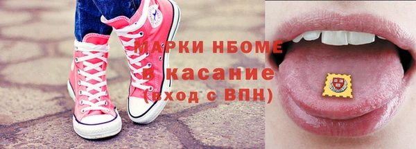индика Ладушкин