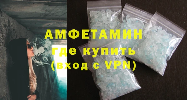 индика Ладушкин