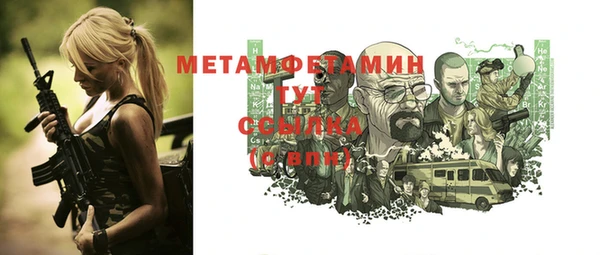 индика Ладушкин