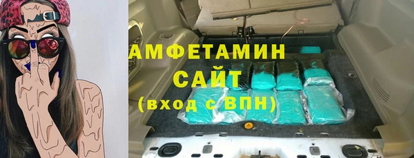 индика Ладушкин