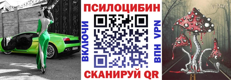 hydra ONION  Новоуральск  Псилоцибиновые грибы Magic Shrooms  как найти наркотики 