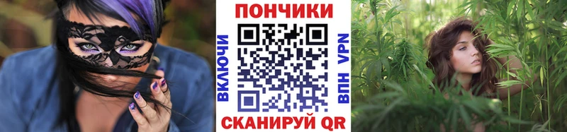 купить закладку Новоуральск Конопля планчик